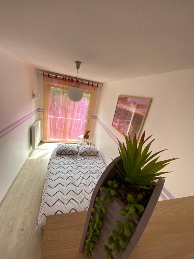 Decouvrez Le Charme Au Coeur De Gap Apartment Ngoại thất bức ảnh
